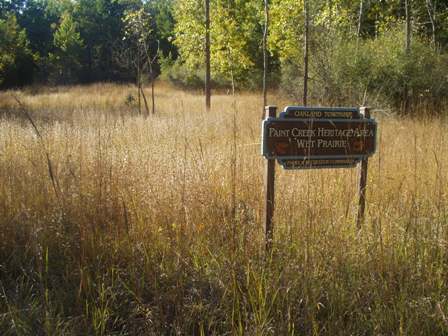 Wet Prairie Photo